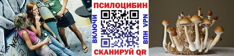 OMG ССЫЛКА  Дедовск  Псилоцибиновые грибы мицелий  где продают наркотики 