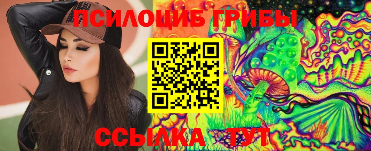 Дедовск  где найти наркотики  Вход с VPN  Псилоцибиновые грибы прущие грибы  Галлюциногенные грибы мицелий 